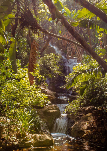 Pretoria National Botanical Garden