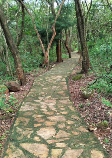 Thohoyandou National Botanical Garden