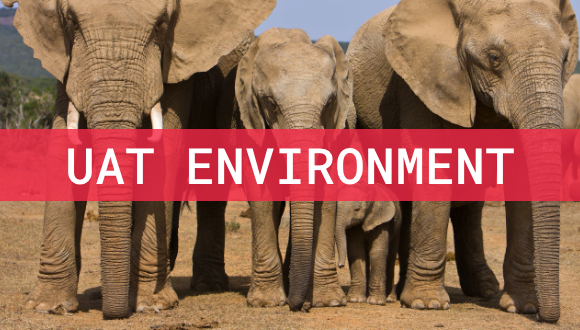 Addo Elephant National Park, the third-largest national park, is not only home t...