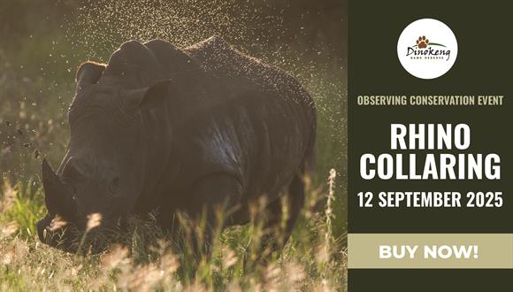 Join a select few for a day that goes far beyond the usual game drive. This excl...