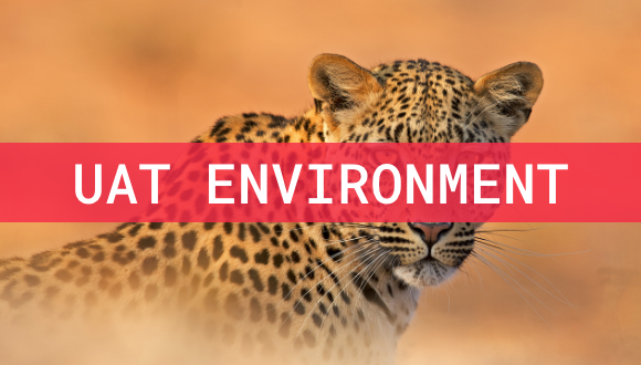 Where the red dunes and scrub fade into infinity and herds of gemsbok, springbok...