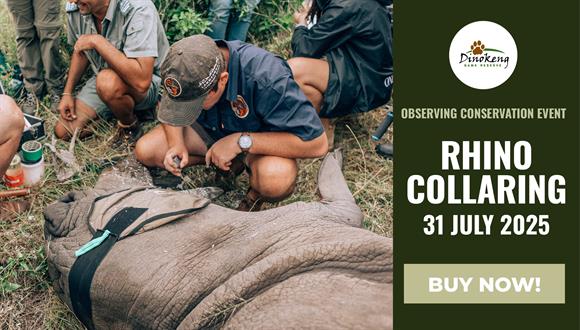Join a select few for a day that goes far beyond the usual game drive. This excl...
