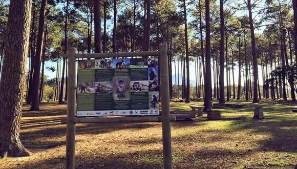 Table Mountain National Park: Tokai Picnic & Braai Area