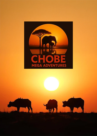 Chobe Mega Adventures