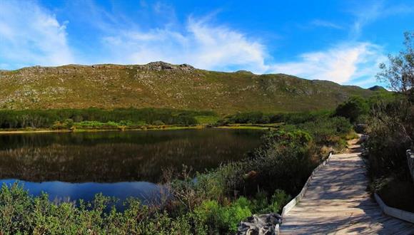 Table Mountain National Park: Silvermine Gate 1