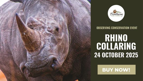 Experience Conservation Up Close at Dinokeng Game Reserve!Join us for an extraor...