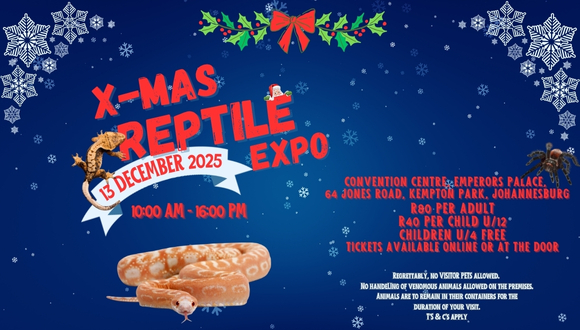 "Christmas is the time for giving. Why not give a pet a new home, but remember, ...